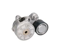 GATES T38752 Tenditore cinghia servizi