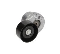 Schaeffler INA 534 0031 10 Tendicinghia, Cinghia Poly-V per FORD,FORD AUSTRALIA