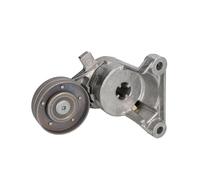 Ina 534 83 30 Braccio Tenditore, Cinghia PolyV