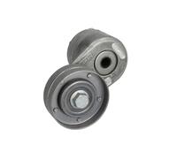 Ina 534 448 10 Braccio Tenditore, Cinghia PolyV