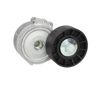 Tendicinghia, cinghia a V SKF VKM 33320