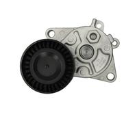 Tendicinghia, cinghia a V SNR GA350.33