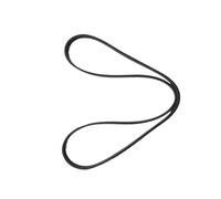 Tendicinghia Cinghia alternatore CM5E6C301DA 2.0L, cinghia serpentina per Ford per Focus EcoSport riparazione