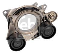 Tendicinghia, Cinghia Poly-V 170248 FEBI BILSTEIN per MERCEDES-BENZ