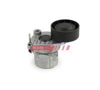 Tendicinghia Cinghia Poly V Fast FT44648 per Mercedes Benz Mercedes Benz