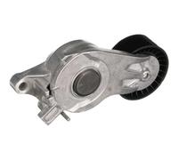 Tendicinghia Cinghia Poly V Gates T39463 Drivealign® per Citroën Opel Peugeot