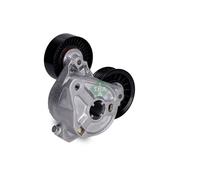INA 534 0309 10 Braccio tenditore, Cinghia Poly-V