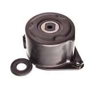 Tendicinghia, Cinghia Poly-V per BMW 3 5 6 7 X3 X5