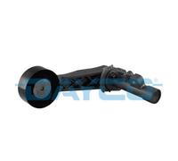 Tendicinghia, Cinghia Poly-V per CITROËN DS MINI PEUGEOT 2008 207 207 CC 207 SW
