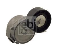 Tendicinghia, Cinghia Poly-V per CITROËN FIAT FORD FORD USA JAGUAR LANCIA LAND R