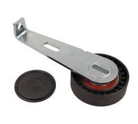 Tendicinghia, Cinghia Poly-V per CITROËN FIAT PEUGEOT 306 406 EVASION EXPERT PAR