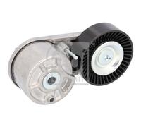 Tendicinghia, Cinghia Poly-V per FORD FOCUS MONDEO TOURNEO CUSTOM TRANSIT TRANSI