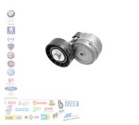 TENDICINGHIA CINGHIA POLY-V per IVECO DAILY III RENAULT MASCOT FURGONATO APV1044