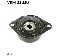 Tendicinghia, Cinghia Poly-V posteriore per AUDI FORD SEAT VW 80 A6 ALHAMBRA CAB