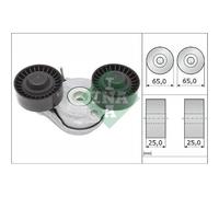 INA 534 0696 10 Braccio tenditore, Cinghia Poly-V