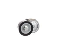 Tendicinghia, Cinghia Poly-V SKF VKMCV52004 per FIAT IRISBUS IVECO RENAULT RENAU