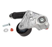Tendicinghia, Cinghia Poly-V Sx per FORD FORD USA JAGUAR EXPLORER MONDEO TRANSIT
