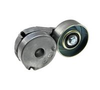 Tendicinghia, Cinghia Scanalata Adatto A per Nissan Qashqai 2.0I 16V 2006.12 X