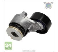 Tendicinghia cinghia servizi Maxgear per NISSAN MICRA III KUBISTAR RENAULT THAL