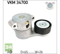 Tendicinghia cinghia servizi SKF per CITROEN JUMPER II FIAT DUCATO FORD TRANSIT