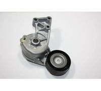 AUTOMEGA 130015710 Braccio tenditore, Cinghia Poly-V per AUDI,FORD,SEAT,SKODA,VW