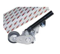 AUTOMEGA 160064610 Braccio tenditore, Cinghia Poly-V per VW