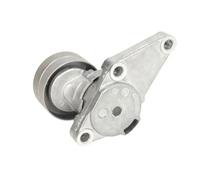 Ina Tenditore cinghia servizi 534 0633 10 per cinghia a V/trapezoidale