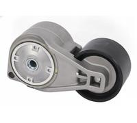 BTA B05-AG-005 Braccio tenditore, Cinghia Poly-V