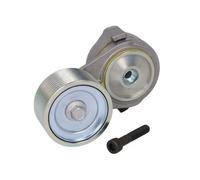 BTA B05-AG-009 Braccio tenditore, Cinghia Poly-V