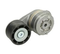 BTA B05-AG-012 Braccio tenditore, Cinghia Poly-V