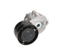 Tendicinghia cinghia trapezoidale B05-AG-013 BTA