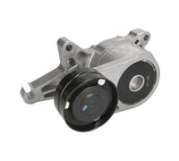 Braccio tenditore, cinghia a V BTA B05-AG-015