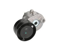 Tendicinghia cinghia trapezoidale B05-AG-017 BTA