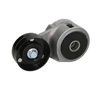 Braccio tenditore, cinghia a V BTA B05-AG-020