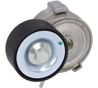 Dayco Tenditore cinghia Poly-V APV3624 per cinghia servizi