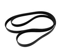 Tendicinghia Cinghia trapezoidale del motore cinghia di trasmissione serpentina per Ford Australia riparazione