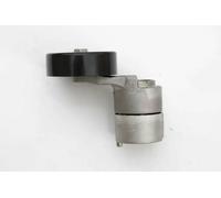 Tendicinghia cinghia trapezoidale TS-H03 JAPANPARTS per KIA HYUNDAI