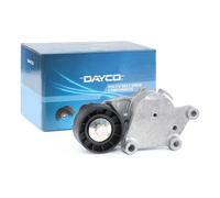 TENDICINGHIA CUSCINETTO AUSILIARE CITROEN C3 PEUGEOT 206 1.4 1.6HDI APV1076