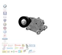 TENDICINGHIA CUSCINETTO AUSILIARE CITROEN C3 PEUGEOT 206 1.4 1.6HDI APV1076