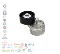 TENDICINGHIA CUSCINETTO AUSILIARE MOTORI 1.9 JTD 534010120 71747798