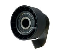 Tendicinghia galoppino cuscinetto distribuzione Lombardini Focs Progress LIGIER