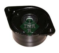 INA 534 0171 10 - Tendicinghia, Cinghia Poly-V