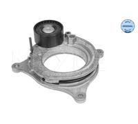Tendicinghia MEYLE MEYL300 903 1128