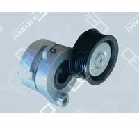 Tendicinghia multirighe 01 2050 400002 OE Germany