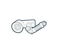 Tendicinghia multirighe 02 2050 200001 OE Germany