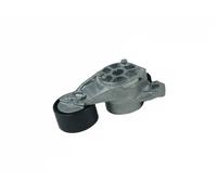 Tendicinghia multirighe 03 2050 F13001 OE Germany