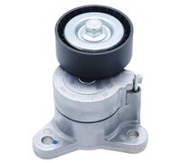 FEBEST 0490-CW5W Tenditore cinghia servizi