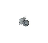 Tendicinghia multirighe 1 987 600 417 BOSCH