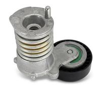 Tendicinghia multirighe 534 0030 10 INA per VOLVO FORD