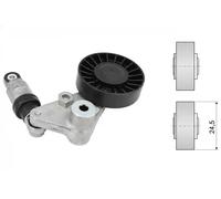 INA 534 0033 10 Braccio tenditore, Cinghia Poly-V